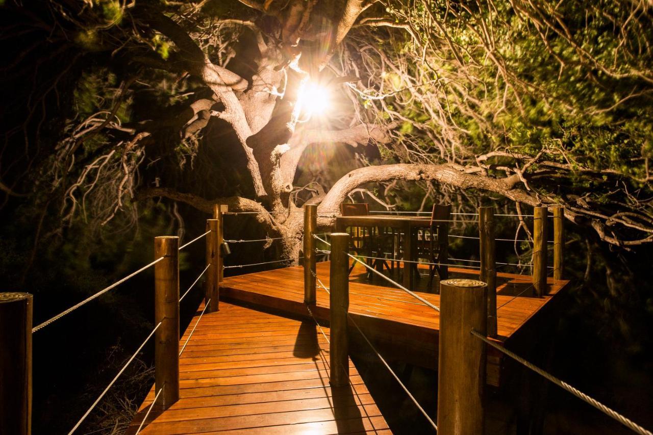 Naledi Lodges Заповедник Балуле Экстерьер фото